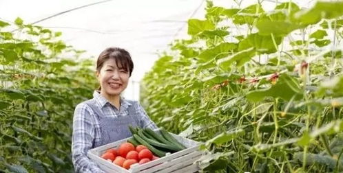 三產(chǎn)融合，共贏未來 如何將休閑農(nóng)業(yè)、鄉(xiāng)村旅游與有機(jī)農(nóng)產(chǎn)品種植打造成最佳營(yíng)銷組合